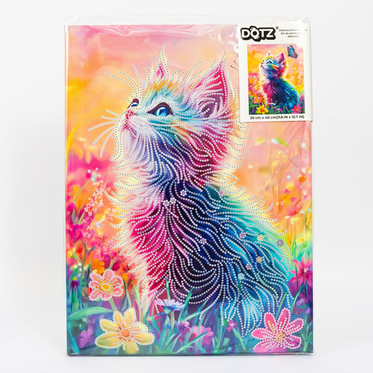 Diamond Dotz Stretched Canvas – Dreamer – 30 x 30cm