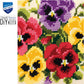 Vervaco - Cross Stitch Cushion Front Kit - Pansy