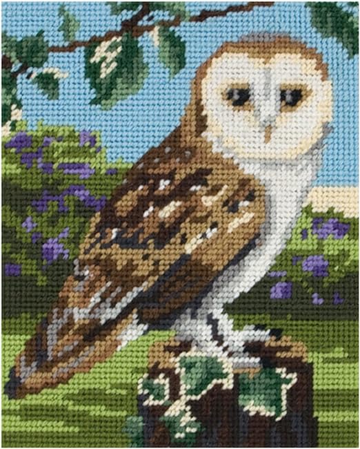 Anchor Starters - Tapestry Kit - Owl - 18 x 14 cm - MR951