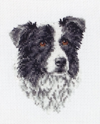 Anchor Counted Cross Stitch Kit Border Collie