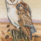 Anchor Counted Cross Stitch Kit Owl Horizon