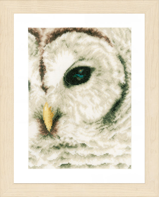 Lanarte Counted Cross Stitch Kit: Owl (Evenweave)- N\A- 19 x