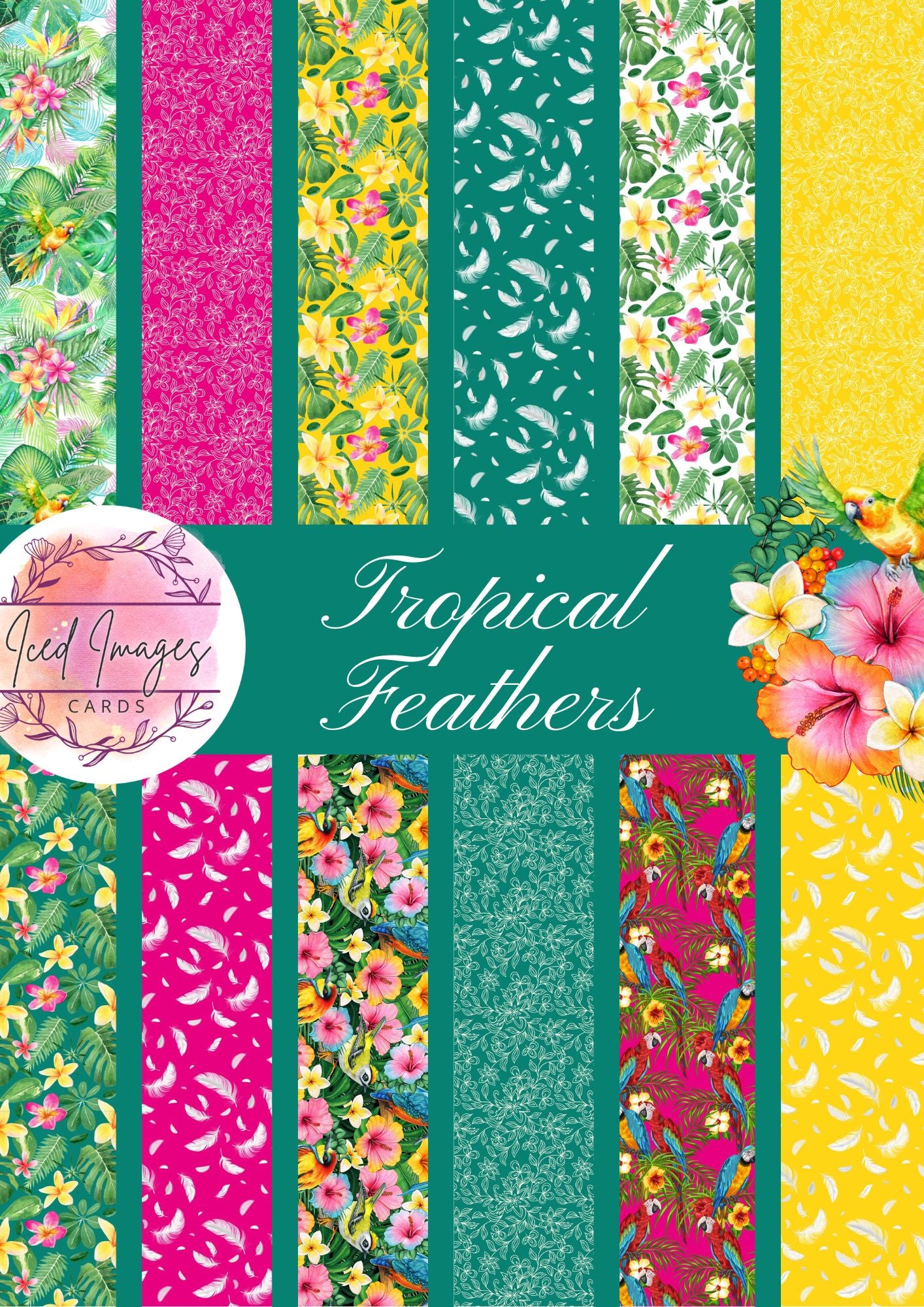 Digital Kit A4 Papers Tropical Feathers - 12 designs