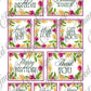 Digital Kit A4 Papers Tropical Feathers - 12 designs