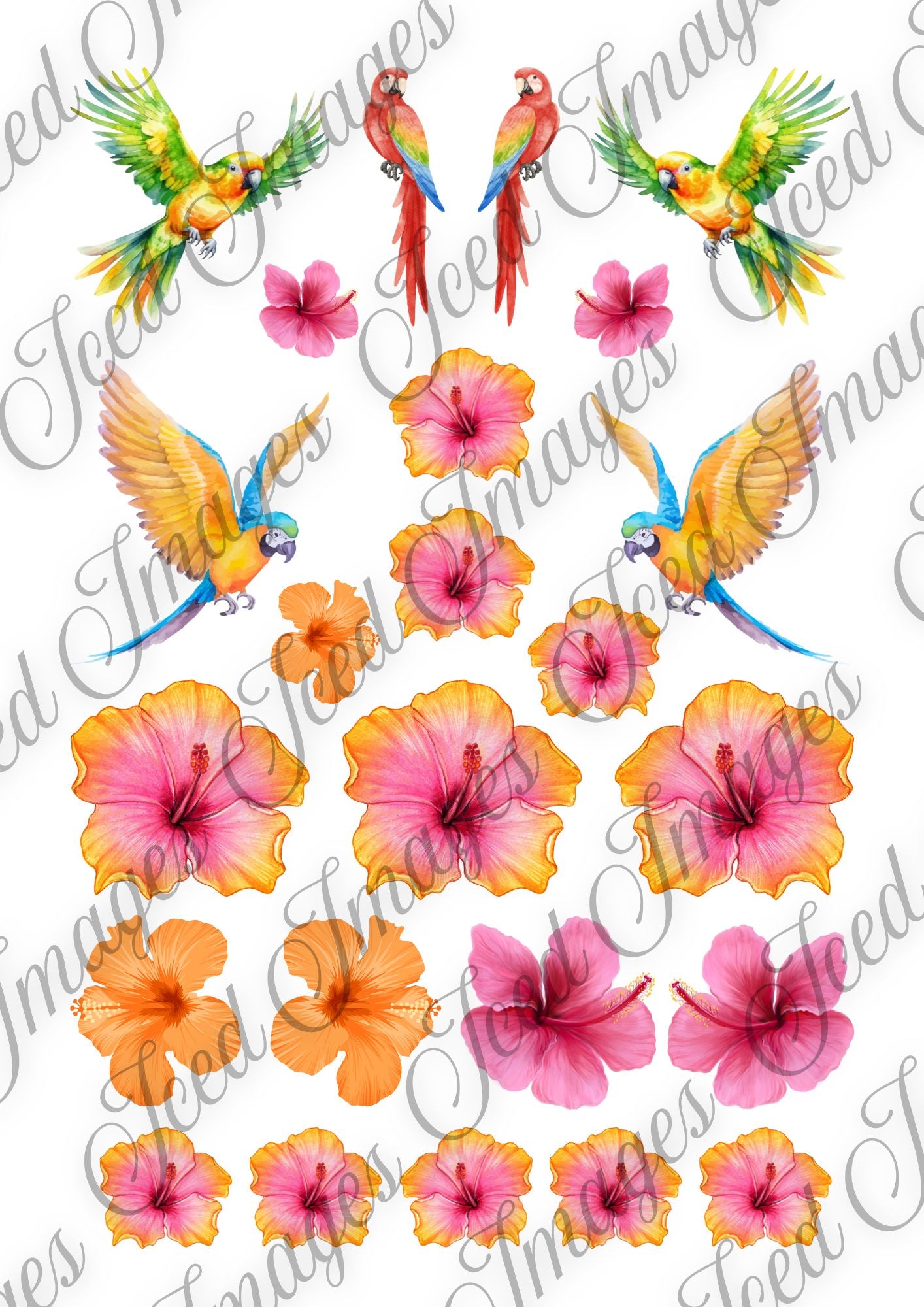 Digital Kit A4 Papers Tropical Feathers - 12 designs
